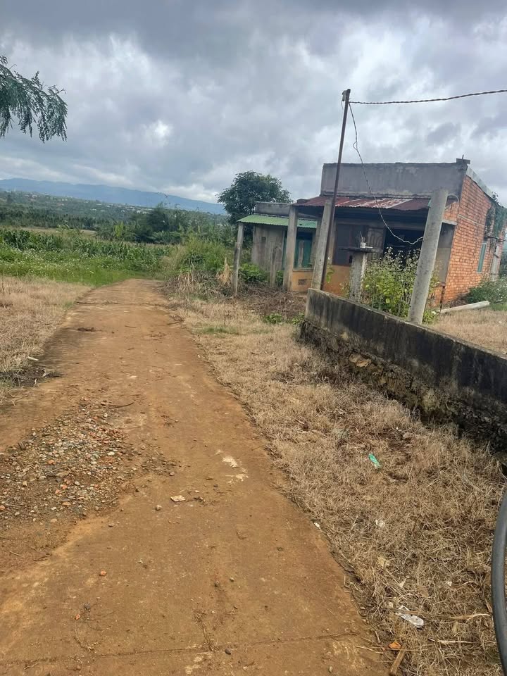 Đất nền chính chủ tại Tam Giang, Krông Năng 450m² - Gần chợ và trường học!