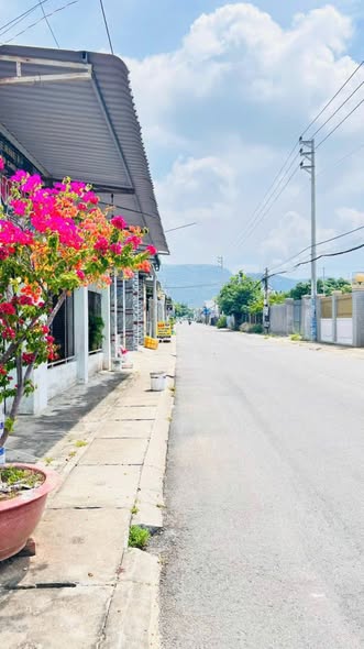 Nhà mặt tiền Long Hải 500m² giá 6.5 tỷ - Đầu tư sinh lời ngay!