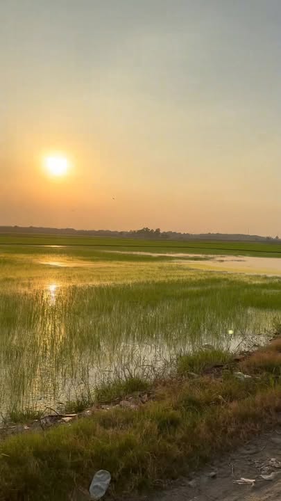 Đất nền Tân Thới Nhì 2499m² giá 11 tỷ - Đầu tư sinh lời ngay khu Vinhomes!