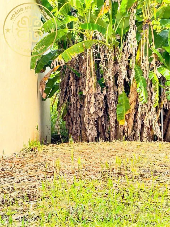 Đất nền đường Tạ Uyên, phường 9, Cà Mau 96m² giá 1.75 tỷ - Vị trí đẹp, giao thông thuận lợi!