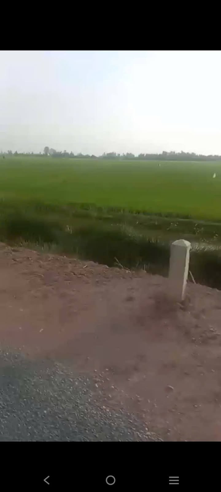 Đất mặt tiền tỉnh lộ 845 Thạnh Lợi 10000m² giá 210 triệu - Cơ hội đầu tư tuyệt vời!