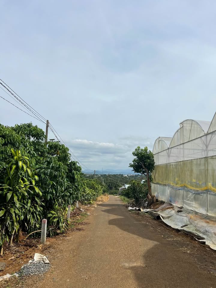 Đất nền Lộc An Bảo Lâm 5016m² giá 11.2 tỷ - Đầu tư sinh lời ngay!