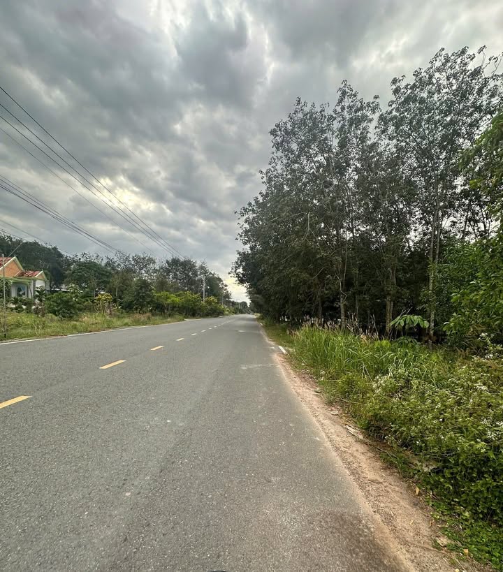 Đất nền Chơn Thành 280m² giá 1 tỷ - Mặt tiền đường Cao Bá Quát!