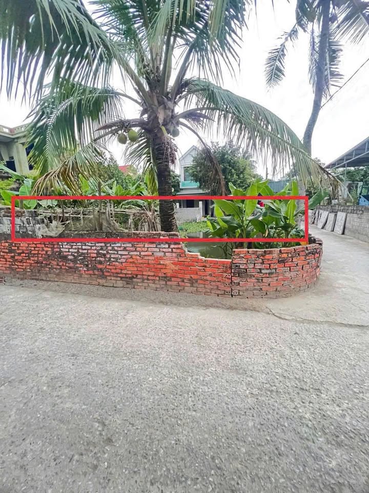 Đất góc trung tâm TP Thanh Hóa 101m² giá 1.5 tỷ - Vị trí đắc địa, cơ hội đầu tư hấp dẫn!