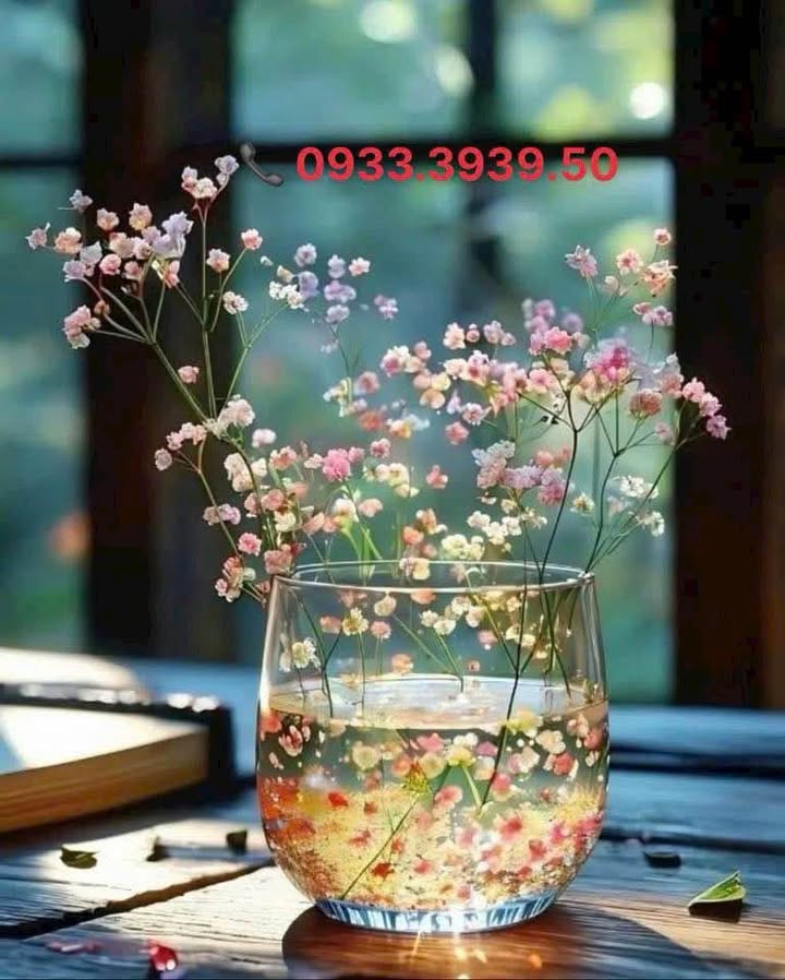 Đất Tân Phong 107m² giá 2.19 tỷ - Đường Nguyễn Ái Quốc, gần bệnh viện 7B