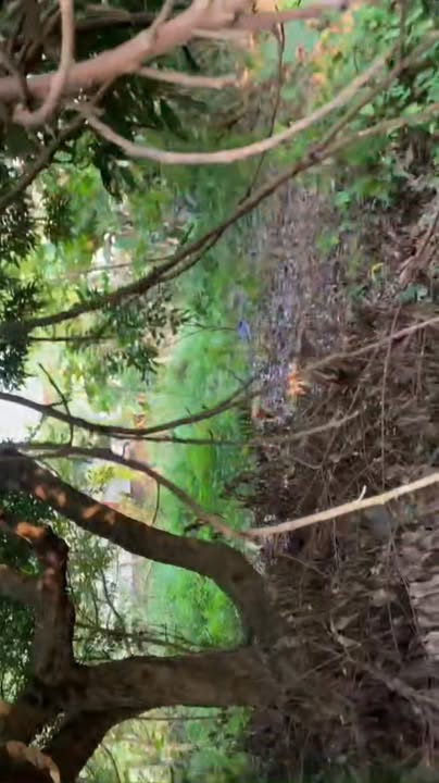 Đất nền Phú Thịnh, xã Cổ Đô 226m² giá 3.459 tỷ - Cơ hội đầu tư hiếm có!