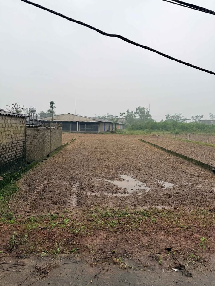 Đất nền Nghi Phong, Vinh 220m² - Đầu tư lâu dài với vị trí đẹp!