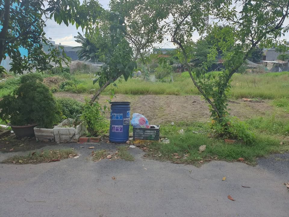 Đất thổ cư Hóc Môn 100m² giá 3.8 tỷ - Đầu tư sinh lời ngay!