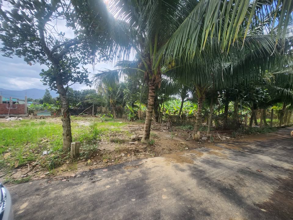 Đất nền Diên Thọ 150m² giá 790 triệu - Cần tiền cho con đi du học!