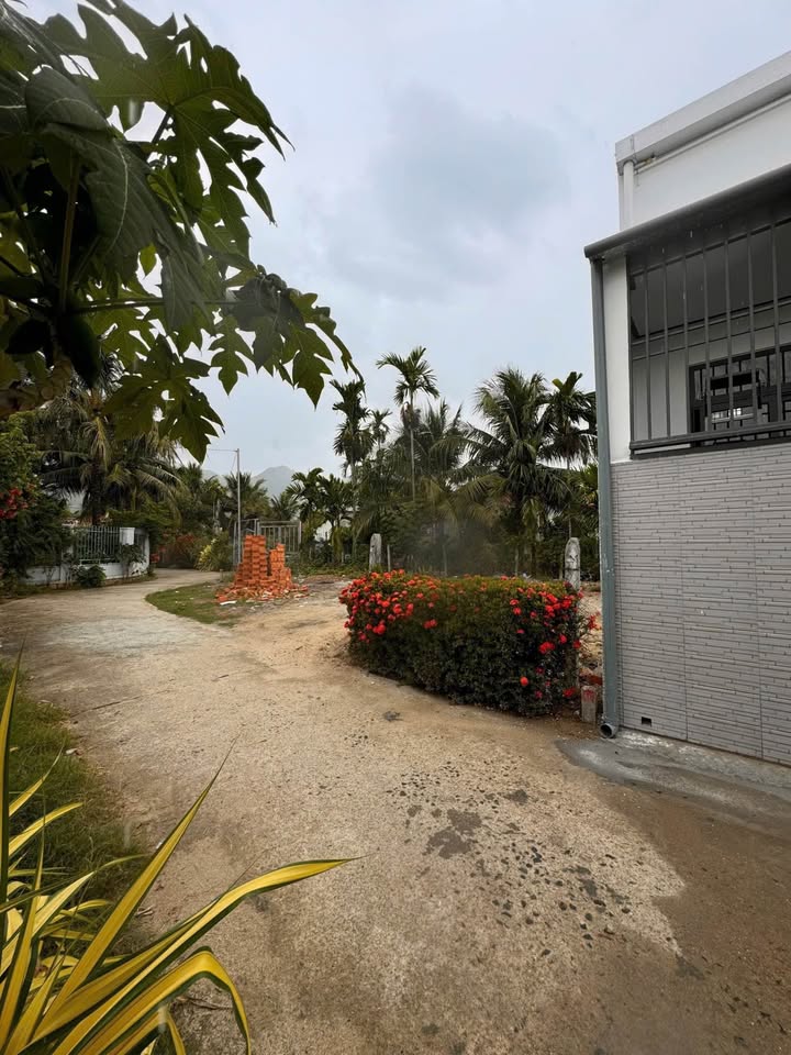 Lô đất Diên Toàn, Diên Khánh 81,7m² giá 1,35 tỷ - Tiềm năng đầu tư hấp dẫn!