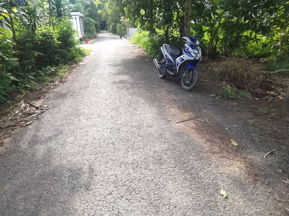 Đất mặt tiền ấp Chợ, xã Tập Sơn, 288m² giá 390 triệu - Cơ hội đầu tư tuyệt vời!