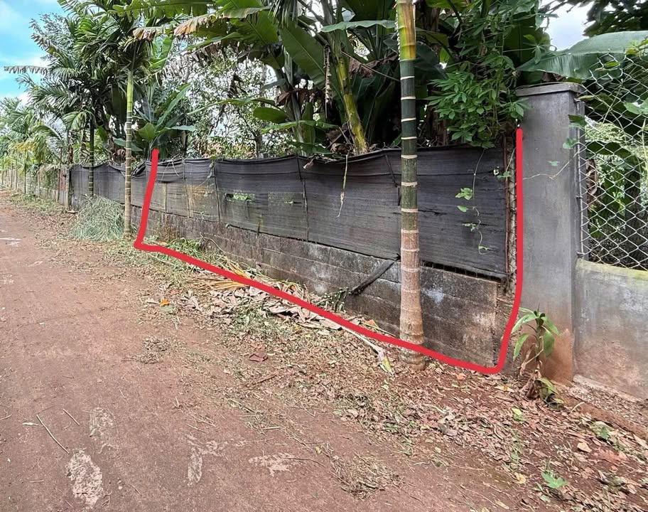 Đất thổ cư đường A4 Nguyễn Xuân Nguyên - Tân An, 300m² giá 1.79 tỷ - Cơ hội đầu tư lý tưởng!