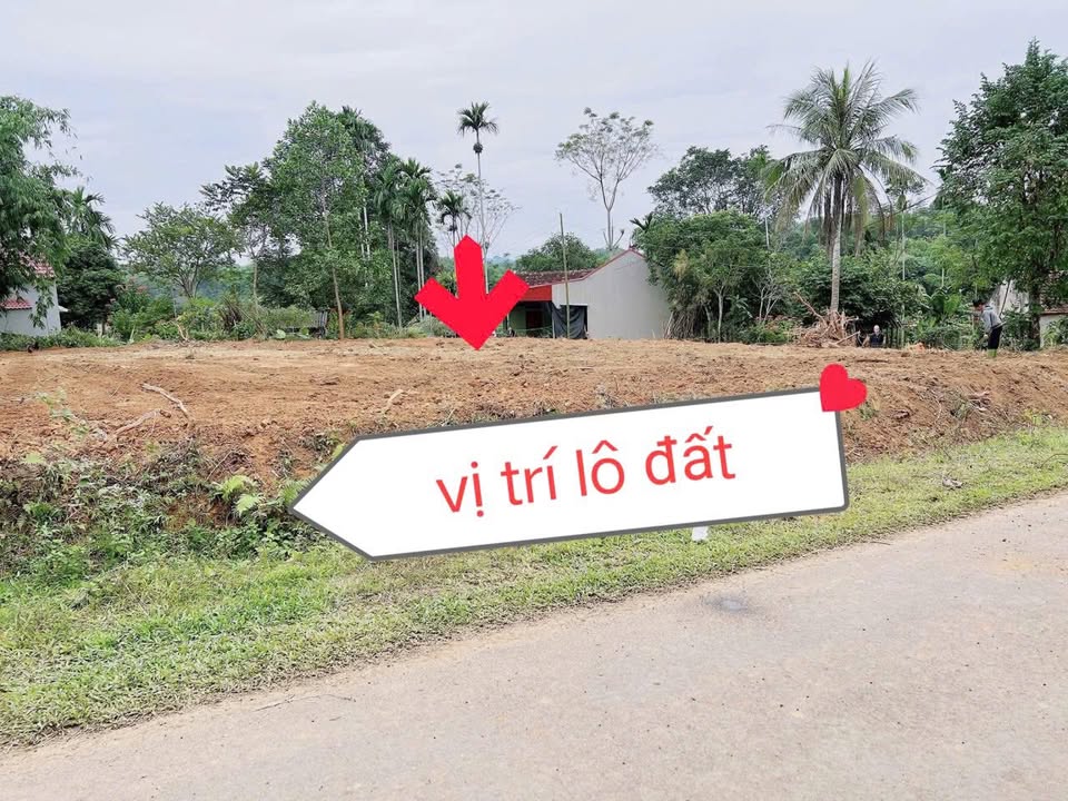 Đất nền Cẩm Long 340m² giá 400 triệu - Cơ hội đầu tư hấp dẫn!