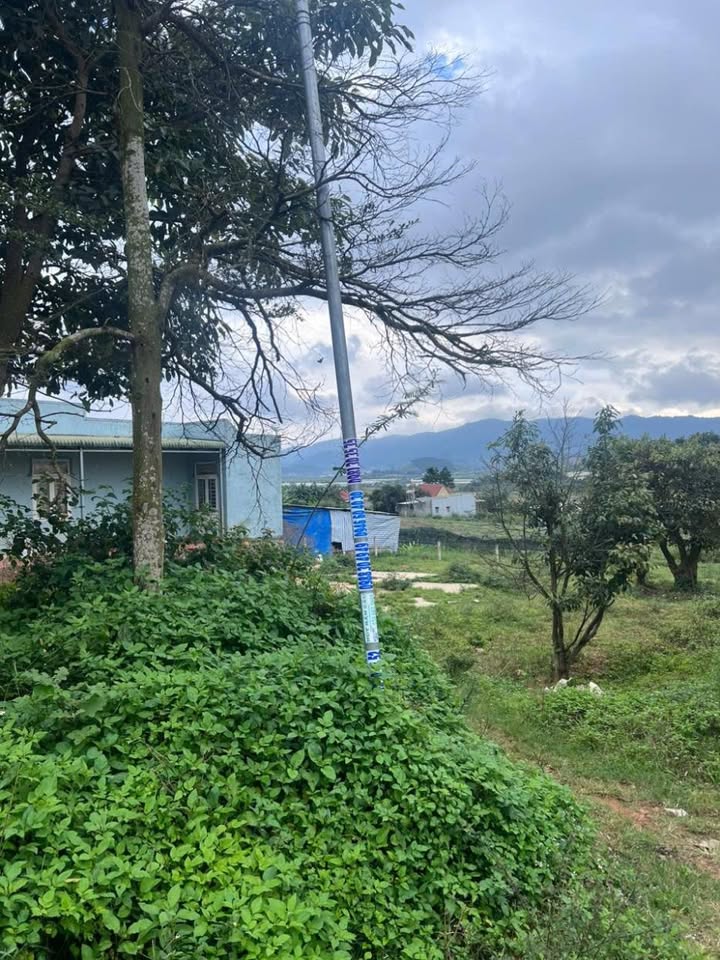 Đất nền xã Quảng Lập 400m² giá 3 tỷ - Sổ đỏ chính chủ, đầu tư sinh lời!