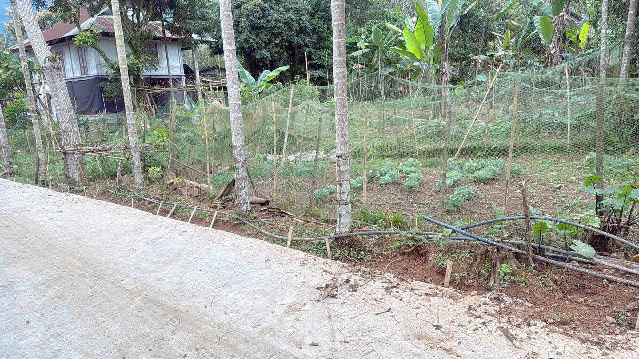 Đất nền Nhân Mỹ Tân Lạc 123m² giá chỉ 200 triệu - Đầu tư sinh lời ngay!