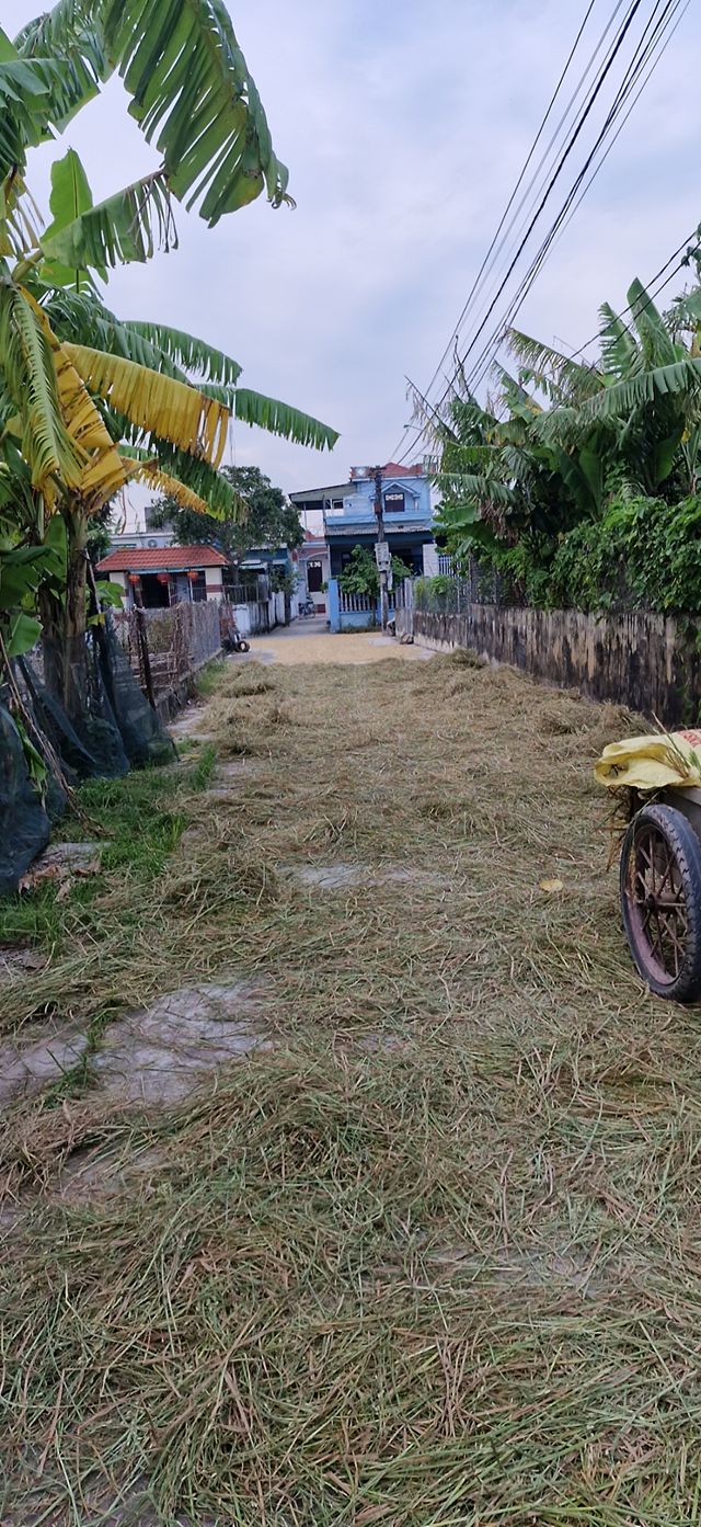 Đất thổ cư Nam Bình Kiến Xương 150m² giá 500 triệu - Ô tô vào tận nơi!