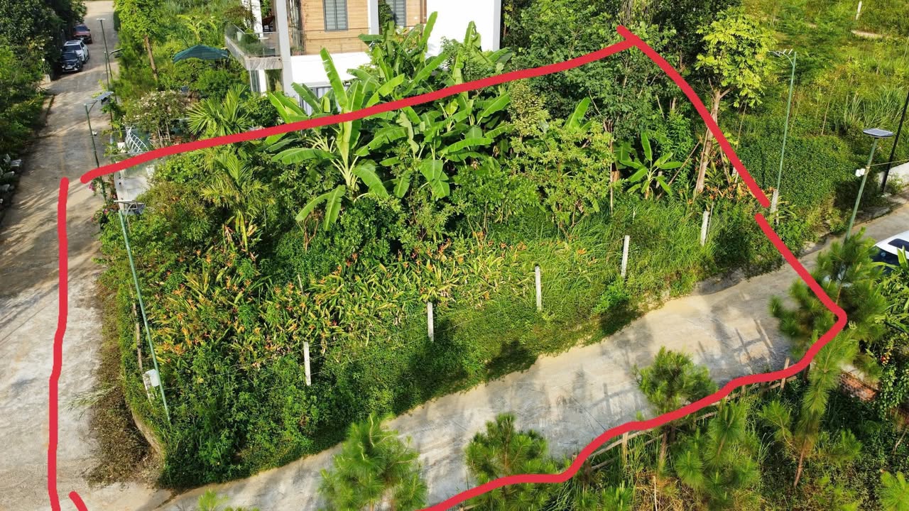 Đất lô góc hướng hồ Yên Bài 400m² giá chỉ 5 tỷ - Môi trường sống an lành!