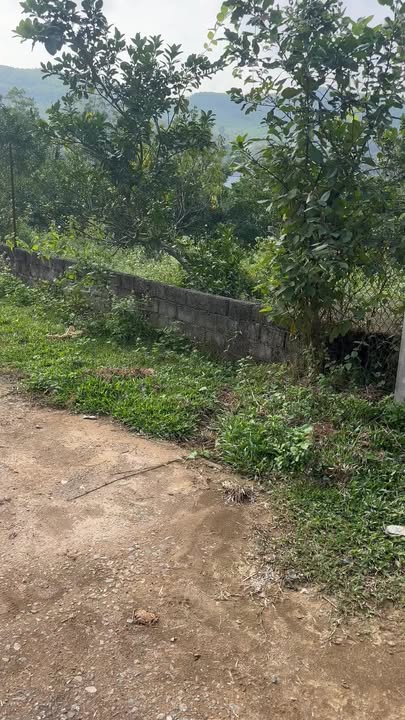 Đất nghỉ dưỡng Đông Lai Tân Lạc Hòa Bình 3000m² giá 1.75 tỷ - Cơ hội đầu tư hấp dẫn!