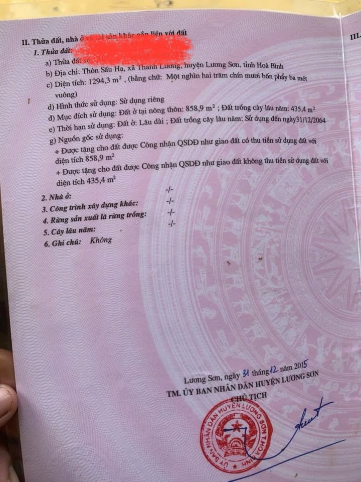 Đất thổ cư Thanh Lương, Lương Sơn 1300m² giá chỉ vài triệu - Không khí trong lành, thiên nhiên tuyệt vời!