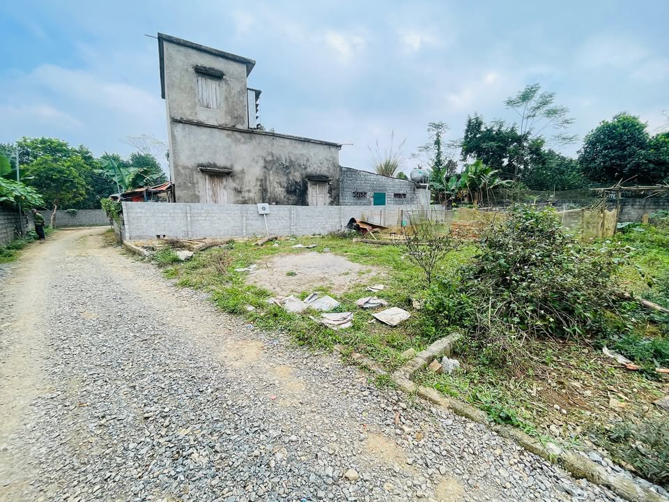 Đất nền 388m² xã Hợp Hòa, Lương Sơn giá 1 tỷ - Đầu tư sinh lời ngay!