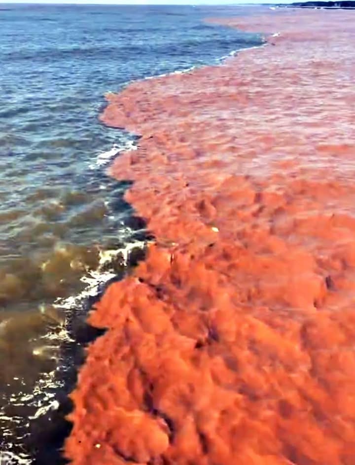 Đất nền Minh Tân Dầu Tiếng 10.000m² giá 36 tỷ - Đầu tư sinh lời ngay!