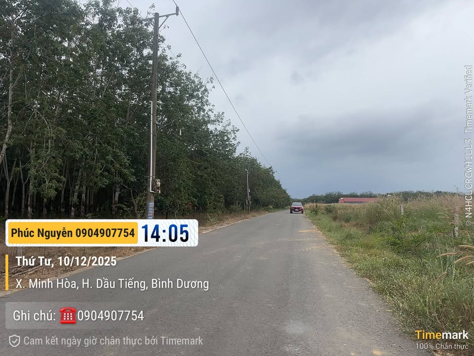 Đất nền Minh Hoà Dầu Tiếng 2,8ha giá 13 tỷ - Cơ hội đầu tư hiếm có!