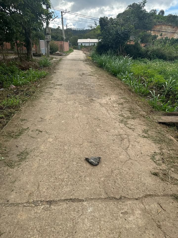 Đất nền Cư Kuin 1350m² giá 1 tỷ - Mặt tiền đường bê tông rộng rãi!