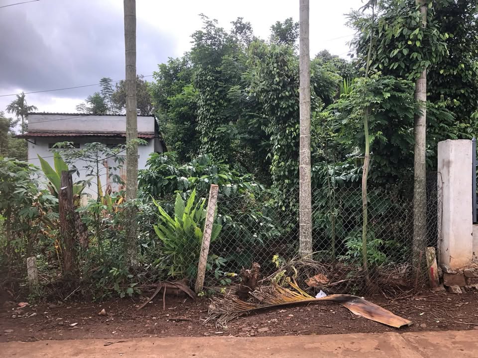 Đất nền Cư Kuin Đắk Lắk 195m² giá 390 triệu - Đường chính chỉ 100m!