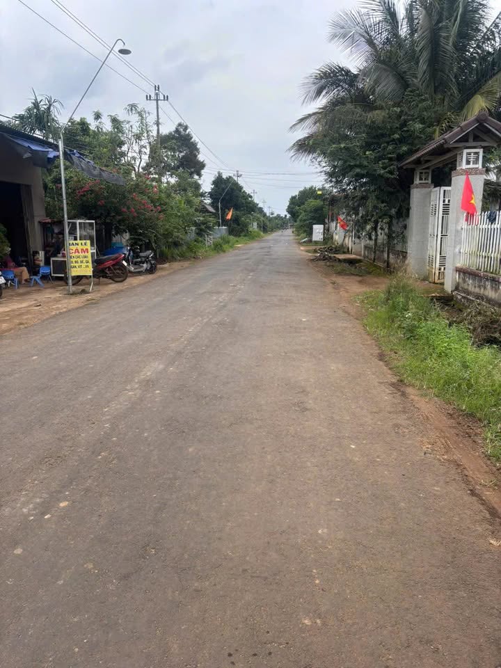 Đất nền mặt tiền Chợ 19/8, Cư Kuin, 600m² giá 7.2 tỷ - Cơ hội đầu tư sinh lời!