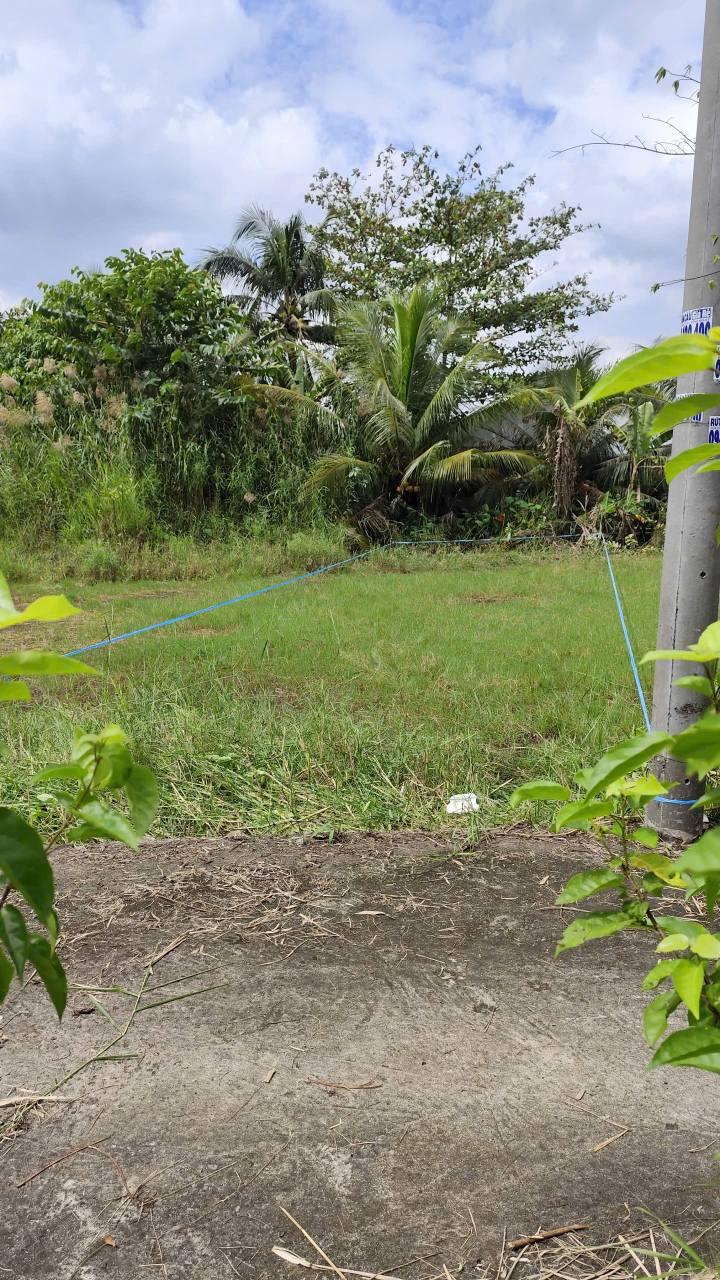 Đất nền 90m² đường Ngô Văn Hai, Tân Hiệp, Châu Thành - Giá 430 triệu, sổ đỏ chính chủ!