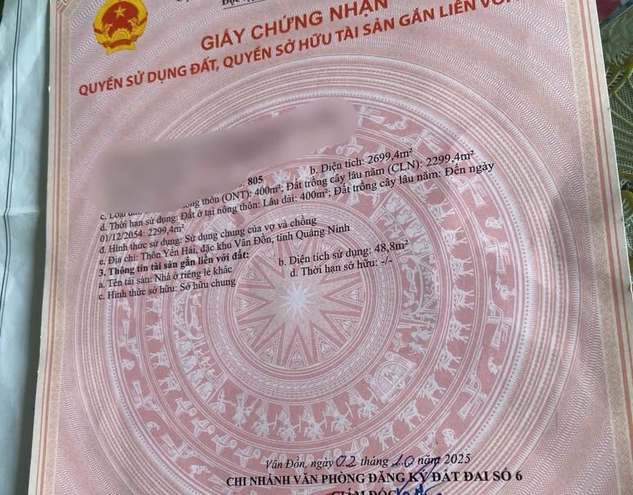 Đất nền Quan Lạn Vân Đồn 2699m² giá chỉ 6 triệu/m² - Cơ hội đầu tư sinh lời!