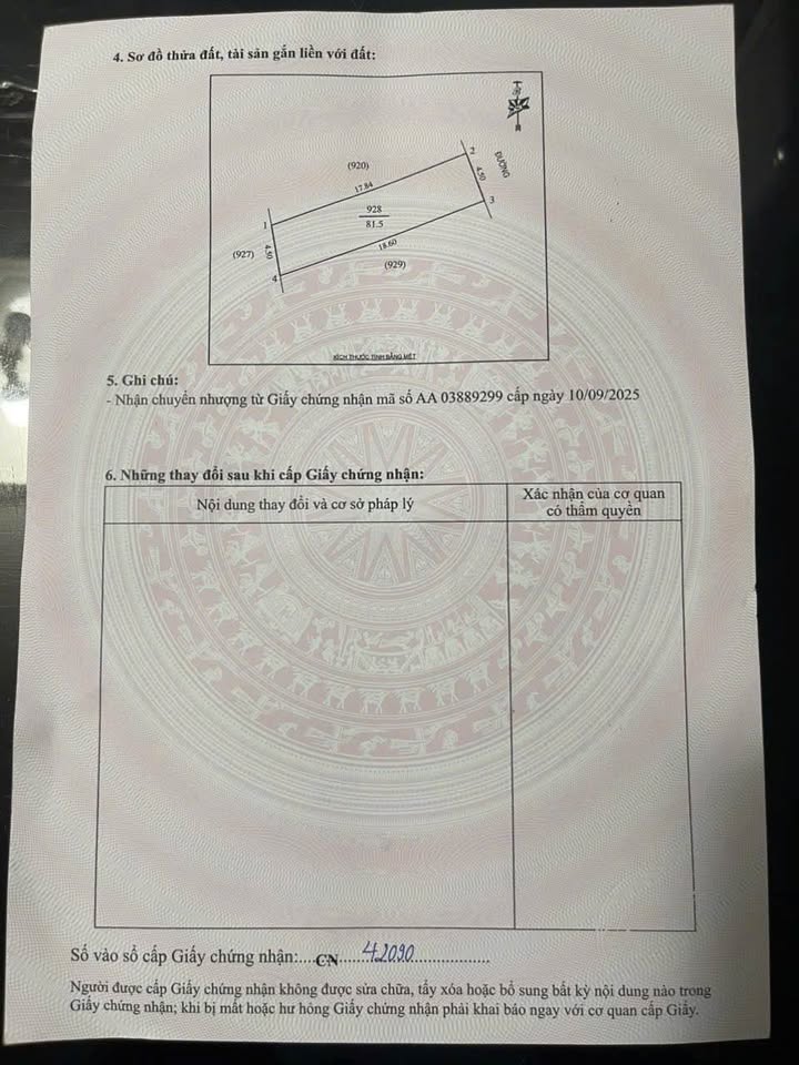 Đất Nghi Kim 81.5m² giá 3.4 tỷ - Vị trí đắc địa, đầu tư sinh lời!