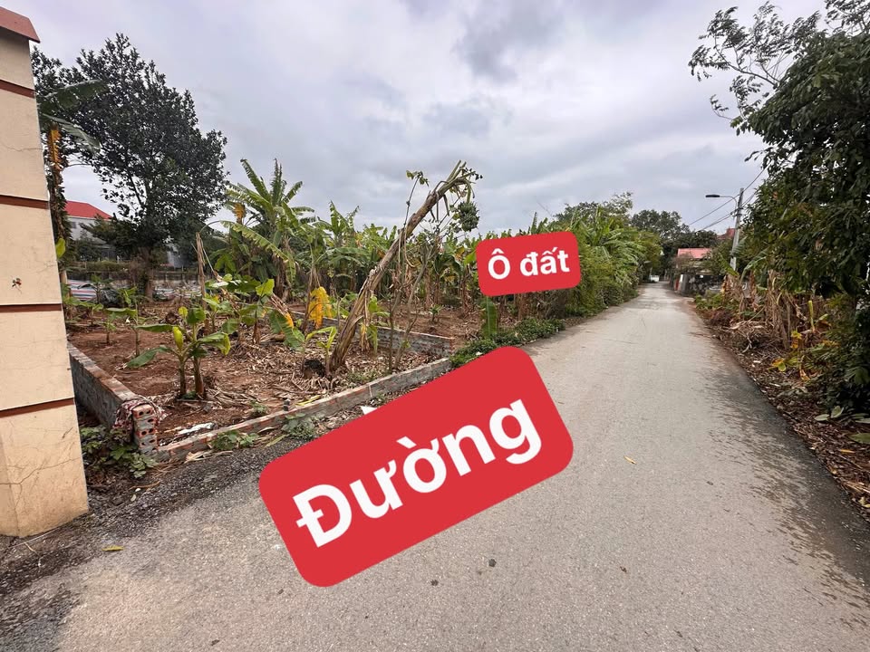 Đất nền chính chủ Tiền Châu, Phúc Yên 62m² giá chỉ 1.55 tỷ - Đầu tư sinh lời ngay!