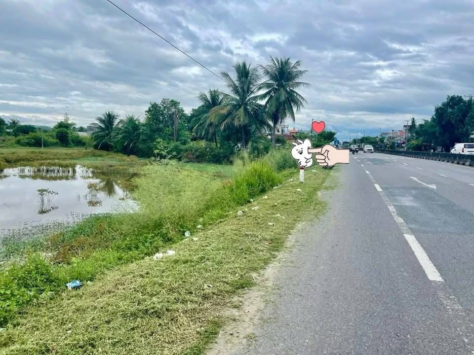 Đất nền Ninh Lộc 4756m² - Thích hợp mở xưởng, vị trí đắc địa!