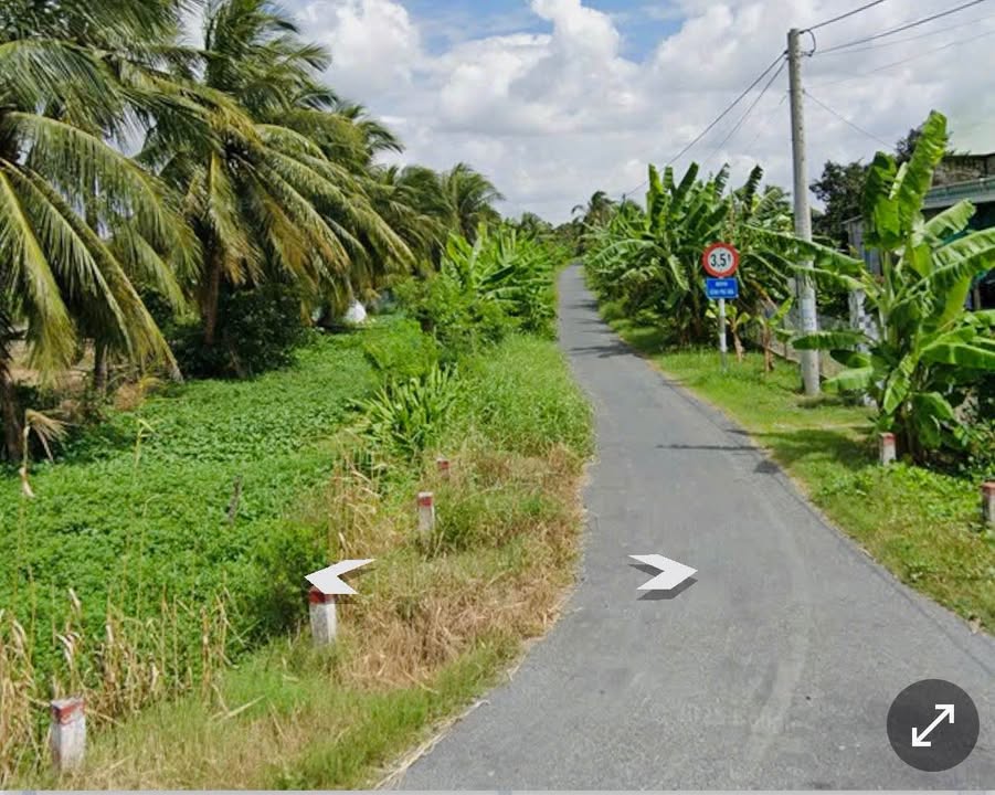 Đất nền 350m² tại xã Bình Ninh, Tiền Giang - Giá chỉ 599 triệu, thương lượng!