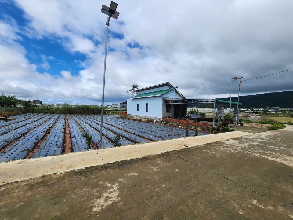 Đất thổ cư Thạnh Mỹ Đơn Dương 183m² giá 780 triệu - Sổ hồng chính chủ, đầu tư sinh lời!