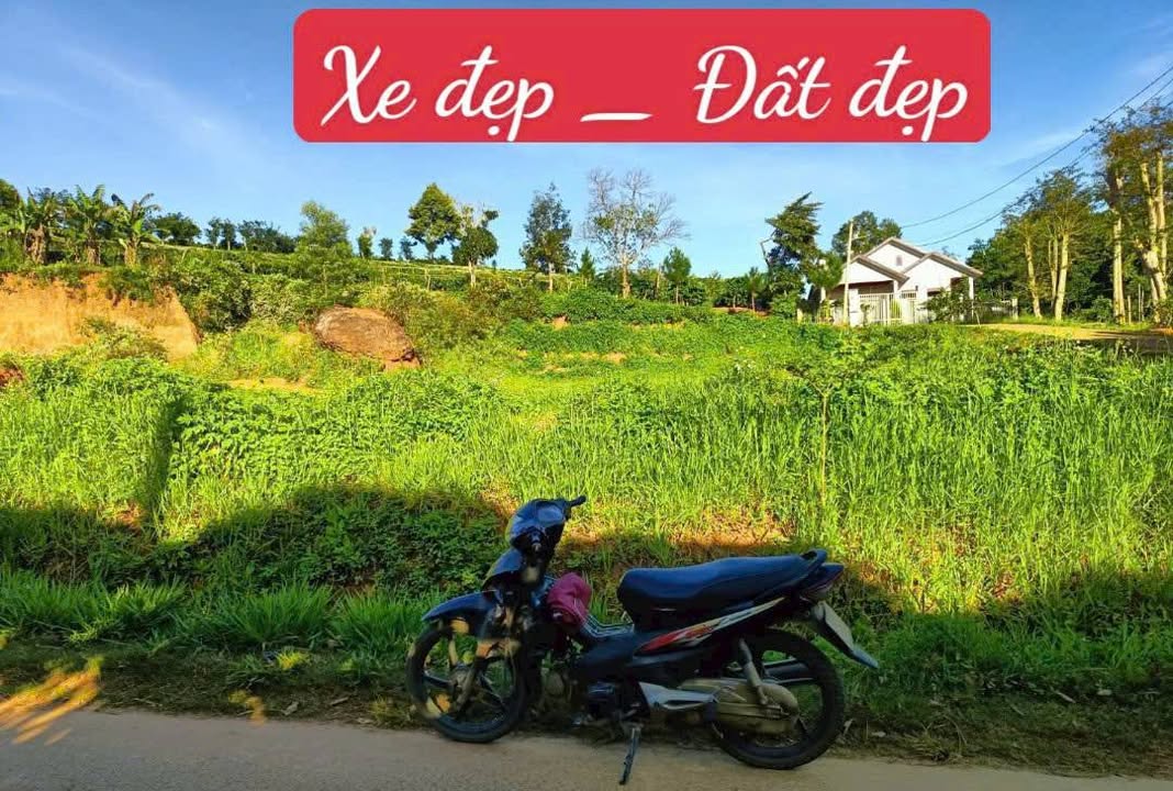Đất thổ cư 1.525m² tại thôn Soop, Đà Loan - Giá chỉ 5.15 tỷ, cơ hội đầu tư tuyệt vời!