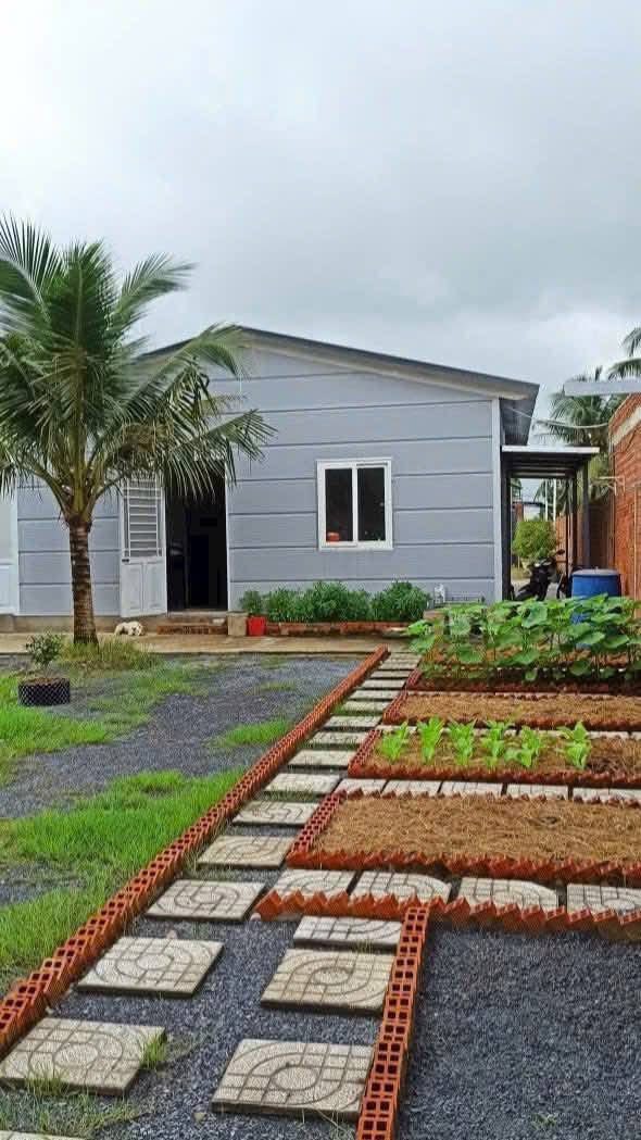 Căn nhà vườn 1300m² tại ấp 4 Tân Bửu, Bến Lức giá 5 tỷ - Đầu tư sinh lời hấp dẫn!