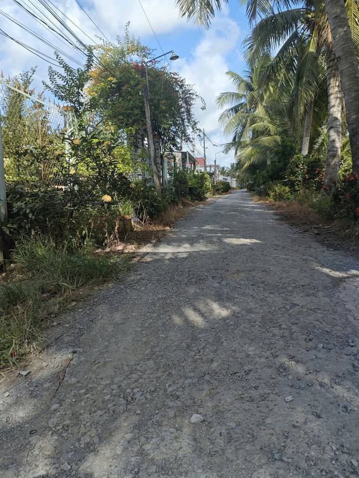 Đất vườn mặt tiền lộ nhựa Phú Đức 1045m² giá 1.7 tỷ - View sông thoáng đãng!