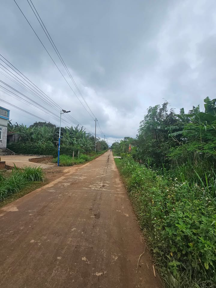 Đất nền Xuân Phú, Ea Kar 582.15m² giá chỉ 4xx triệu - Cơ hội đầu tư hấp dẫn!