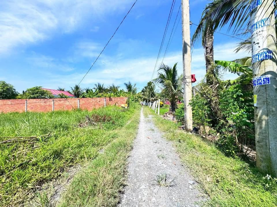 Đất thổ cư Hòa Khánh, Đức Hòa 192m² giá 750 triệu - Đường ô tô vào tận nơi!