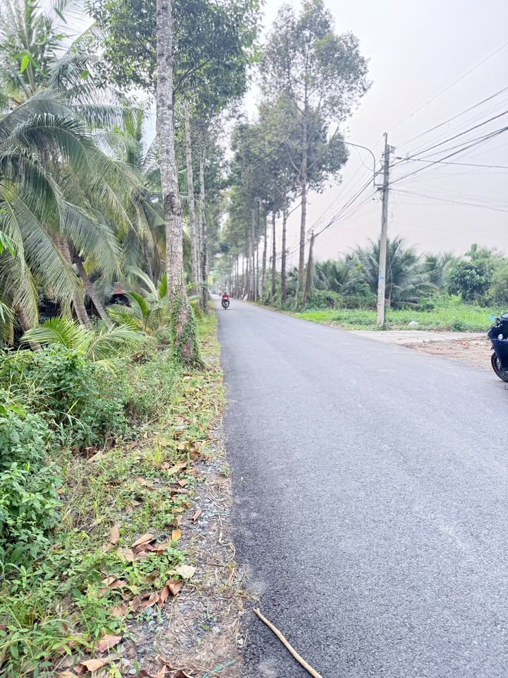 Bán đất mặt tiền Trần Thị Thơm, Mỹ Tho 173m² giá 1.75 tỷ - Đầu tư sinh lời cao!