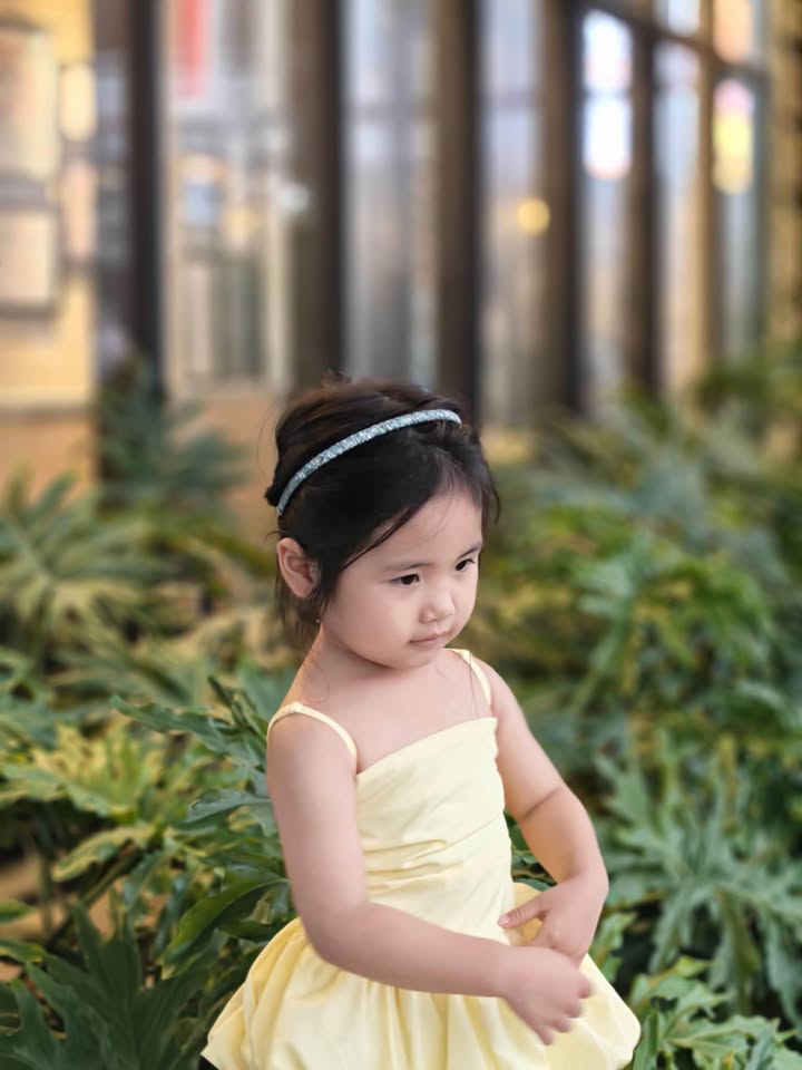 Đất nền Kiến An Hải Phòng 171m² giá 7.785 tỷ - Vị trí đẹp mặt đường 208!