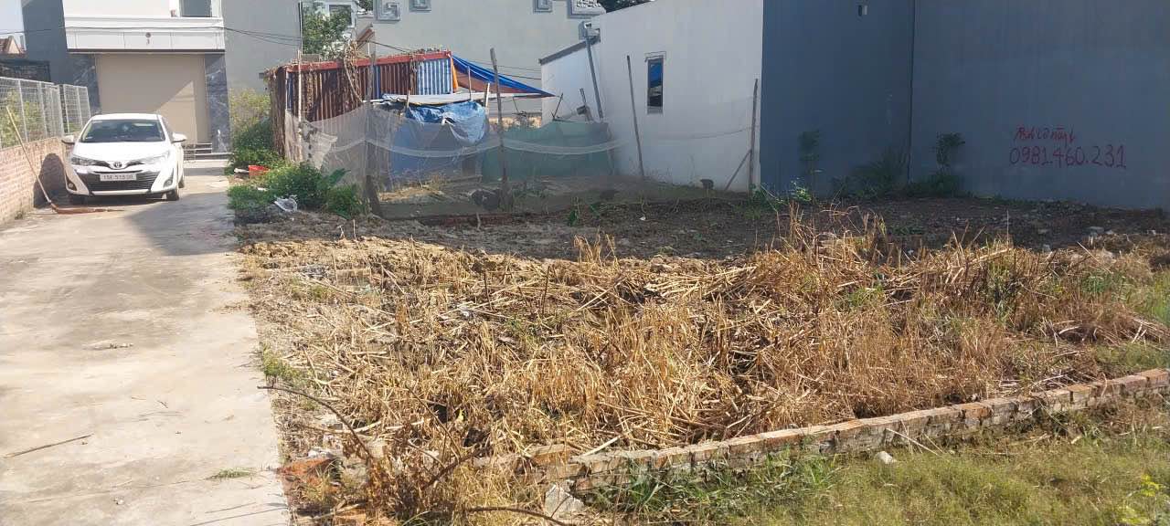Đất 65m² Hồng Thái, Kiến An - Bán gấp chỉ 1.3 tỷ, ô tô vào tận nơi!