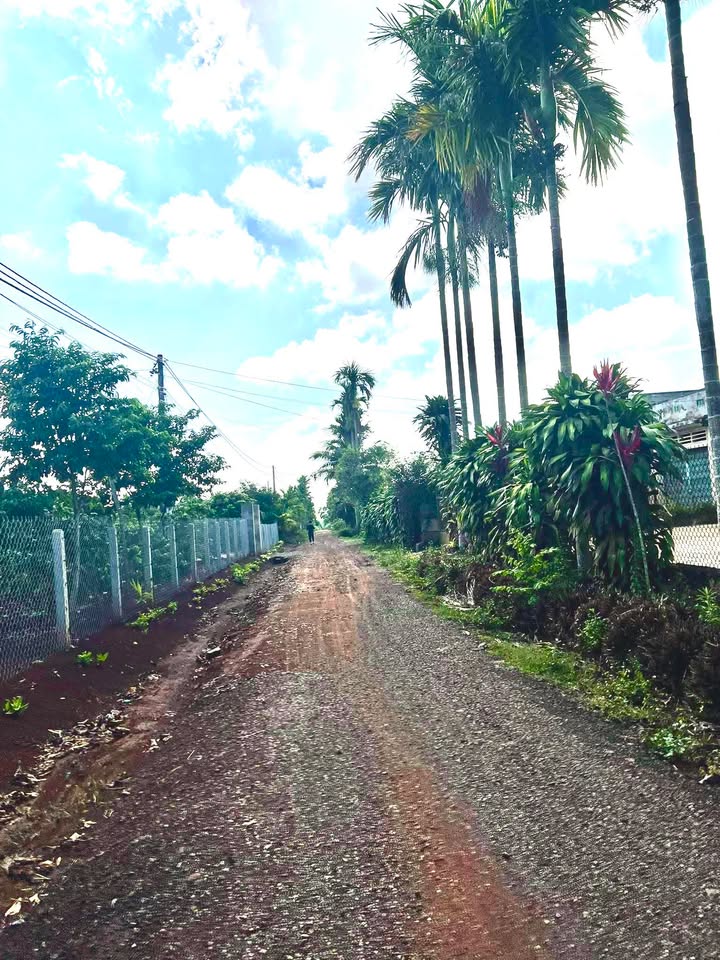 Đất thổ cư Cư Bao, Buôn Hồ 60m² chỉ 35 triệu - Mặt tiền rộng, vị trí đẹp!