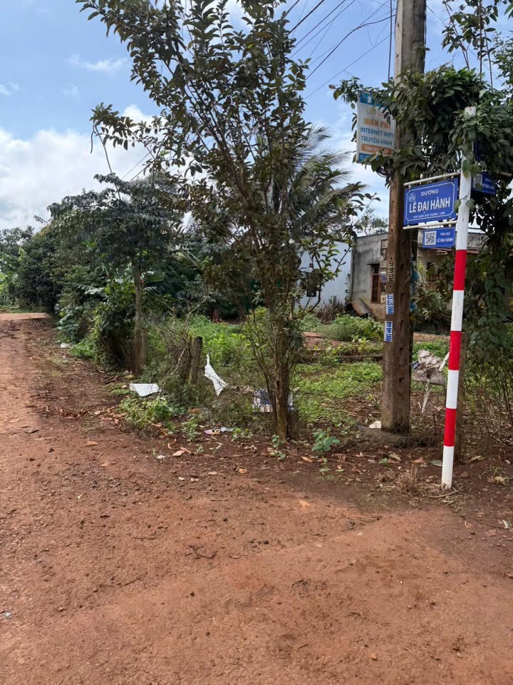 Đất nền mặt tiền Lê Đại Hành, An Lạc 210m² giá 1.6 tỷ - Tiềm năng tăng giá mạnh!