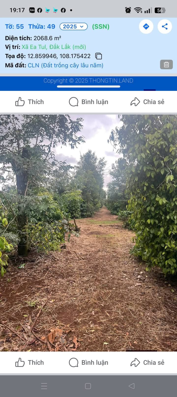 Đất nông nghiệp Ea Tul, Cư M'gar 4600m² giá 297 triệu - Đất đỏ bazan màu mỡ!