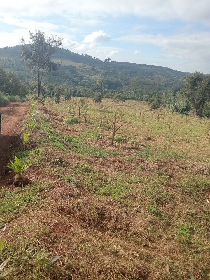 Farm Đắk Lắk 20.000m² giá 5.06 tỷ - Đầu tư sinh lời với vườn cây màu mỡ!