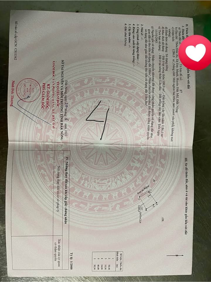 Đất thổ cư 1200m² tại Đức Mạnh, Đắk Mil - Giá chỉ 1.4 tỷ, nhanh tay sở hữu!