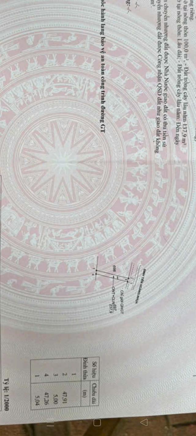 Đất mặt đường Đinh Tiên Hoàng Đắk Mil 235m² giá 1.15 tỷ - Cơ hội đầu tư hấp dẫn!